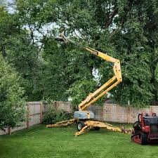 Best Leaf Removal  in Edburgh, IN