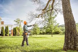 Best Lawn Renovation and Restoration  in Edburgh, IN