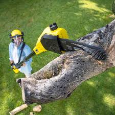 Best Firewood Processing and Delivery  in Edburgh, IN