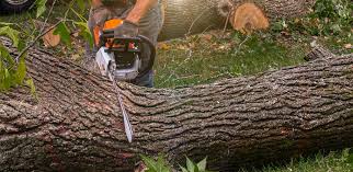 Best Aeration Services  in Edburgh, IN