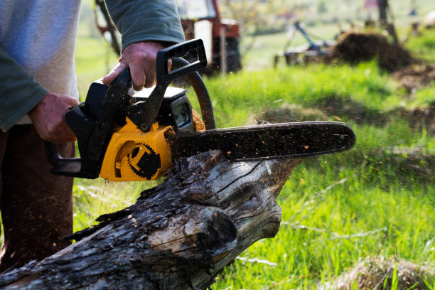 Best Soil Testing and Treatment  in Edburgh, IN